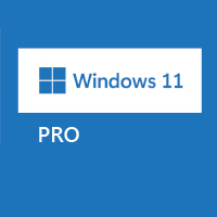 Microsoft Windows 11 Pro OEM 64-bit