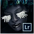 Adobe Photoshop Lightroom 4 für Schüler, Studenten, Lehrer und Schulen günstiger