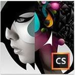 Adobe Creative Suite 6 Design Standard