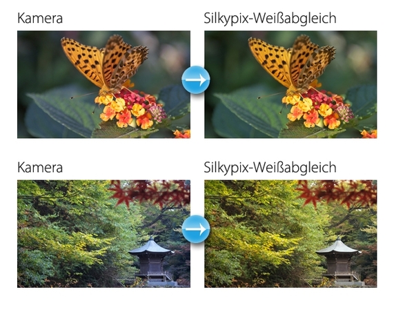 Silkypix_Weissabgleich
