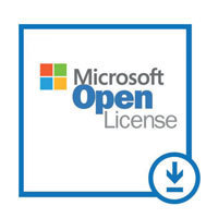 Microsoft Office 2019 Professional Plus Volumenlizenz für Schulen