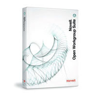 Micro Focus Open Workgroup Suite ABO 1 YR 30 Lizenzen